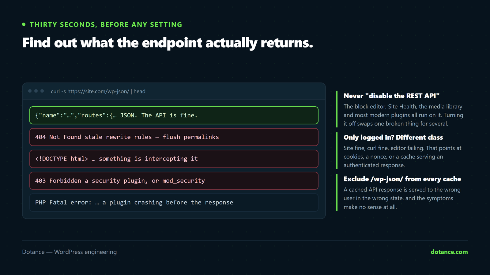Two curl commands that diagnose a WordPress REST API error: request the API root and read whether JSON comes back, a 404, an HTML error page or a 403 — each of which points at a different cause.